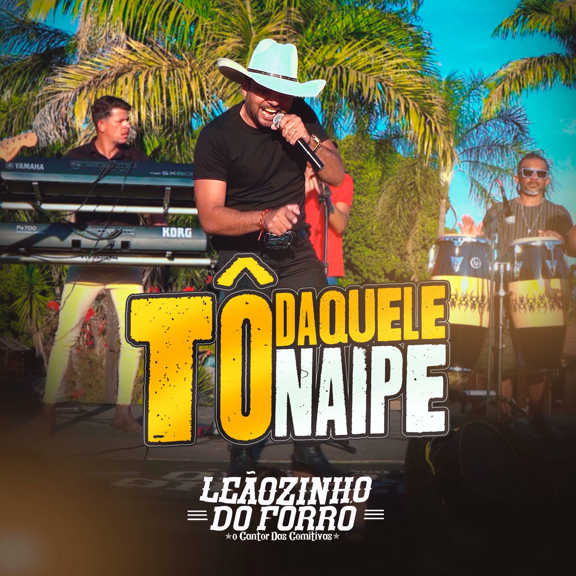 Album cover of Tô Daquele Naipe