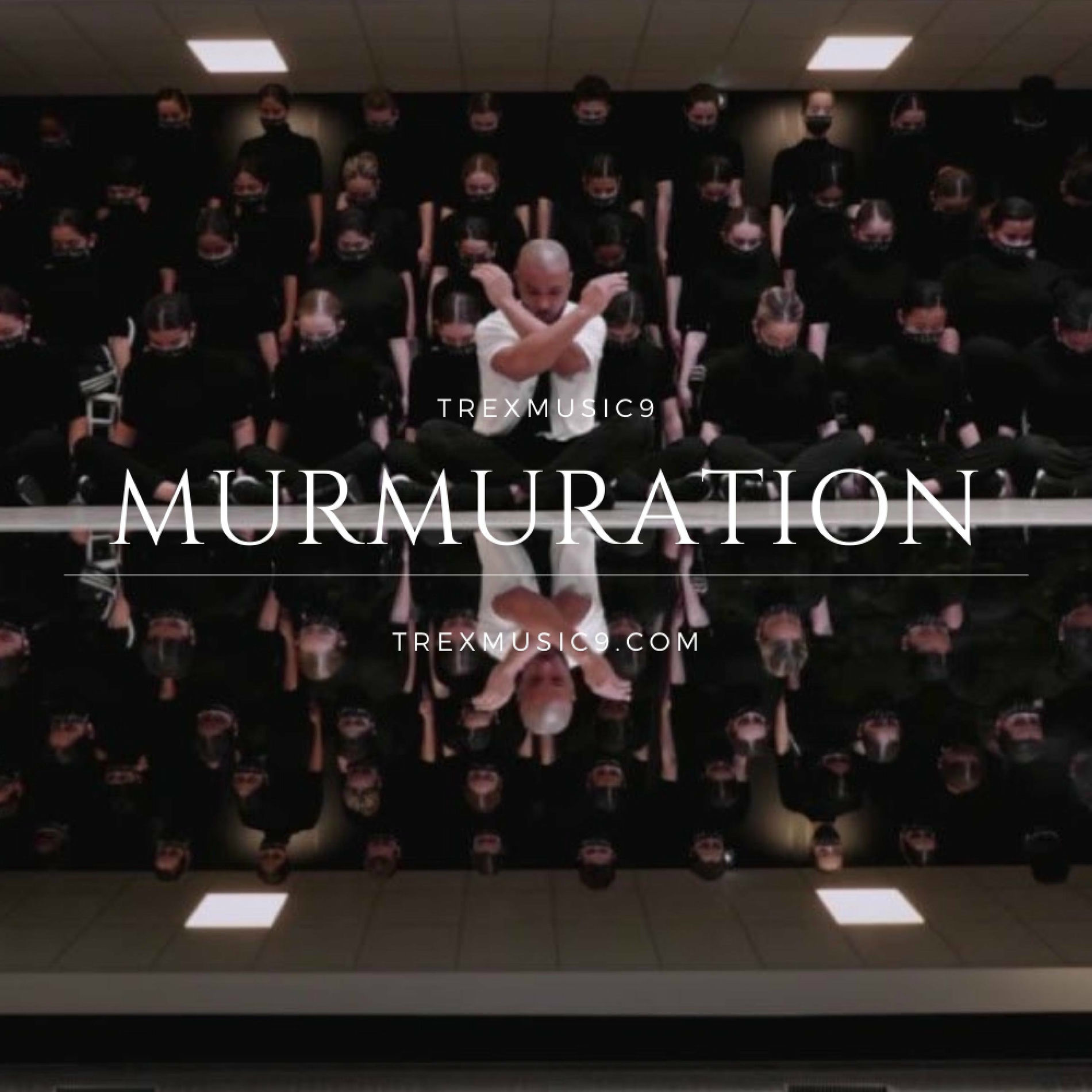 Album cover of Murmuration