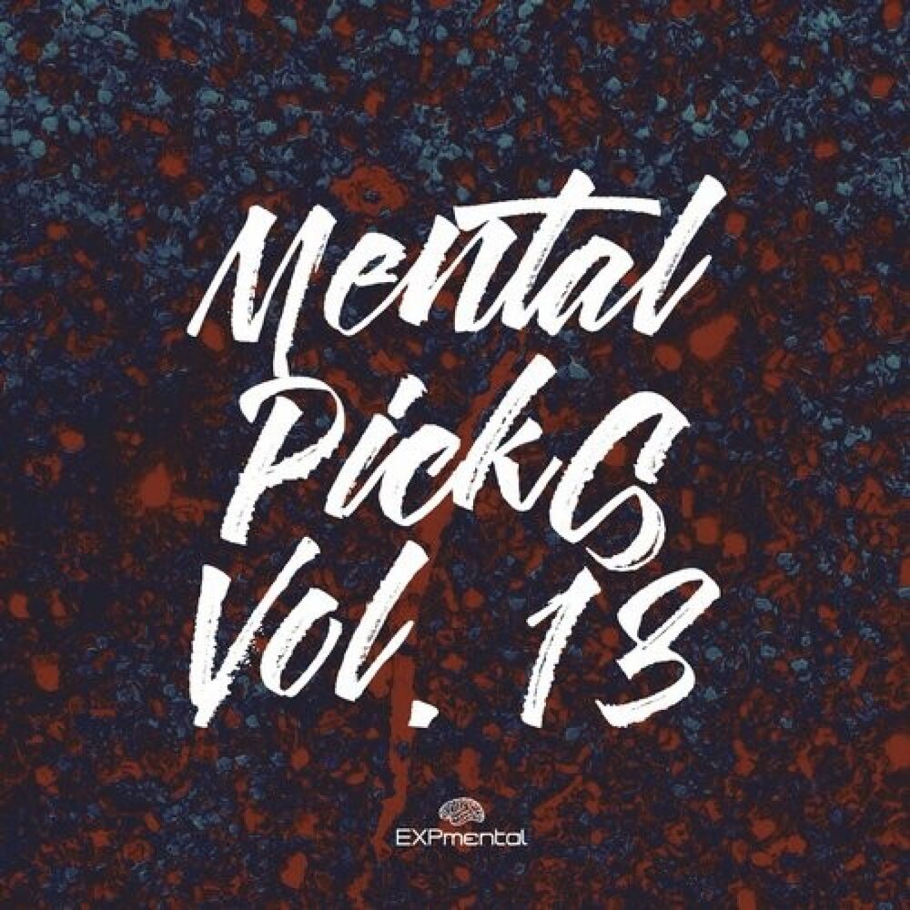 Picture of Mental Picks Vol.13
