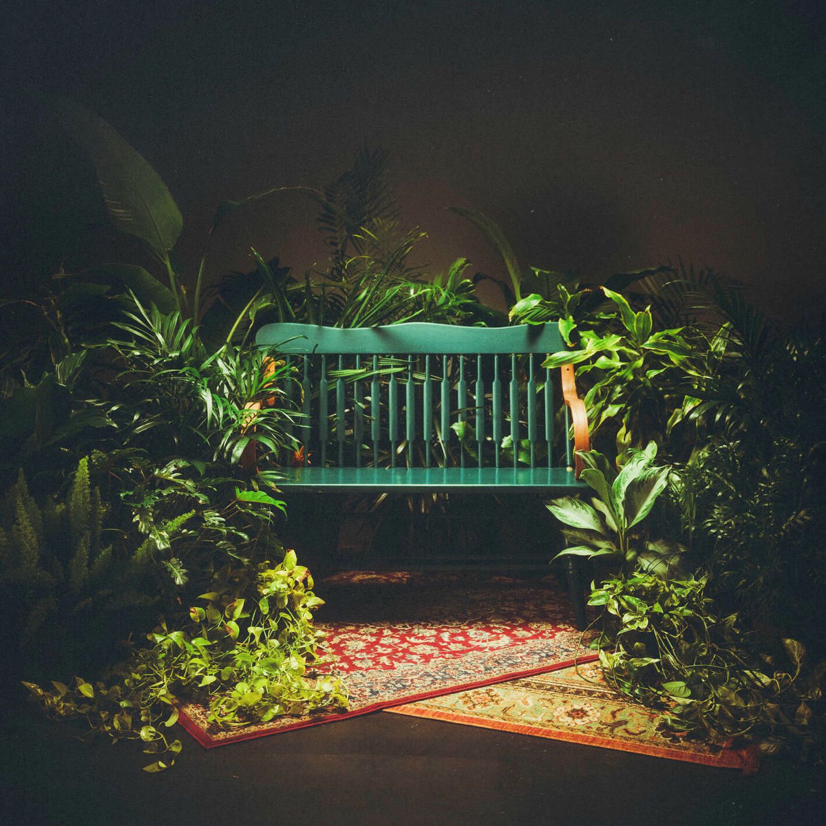 Album cover of Dwell