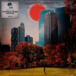 music cover