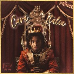 Cover of CARA ITALIA