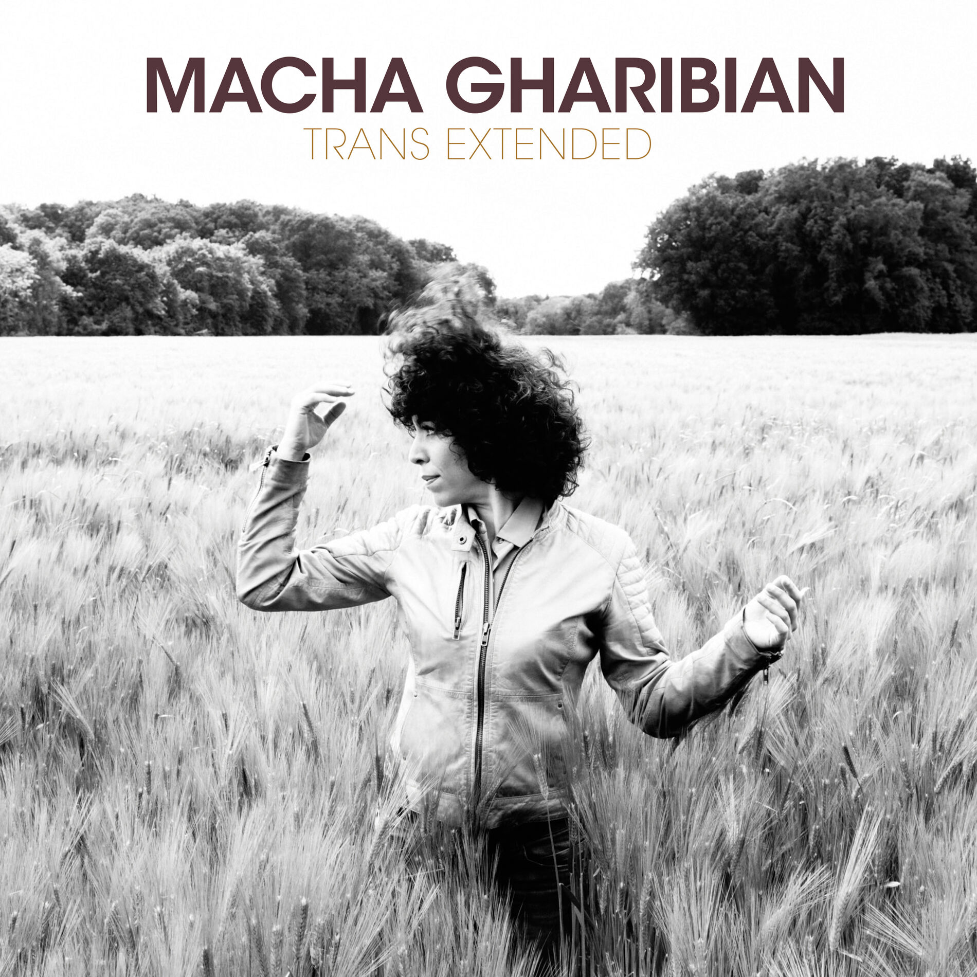 Album cover of Trans Extended