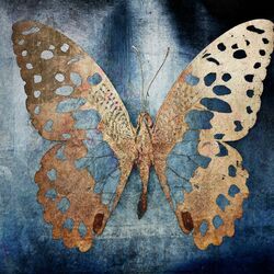 Cover of Metallic Wings