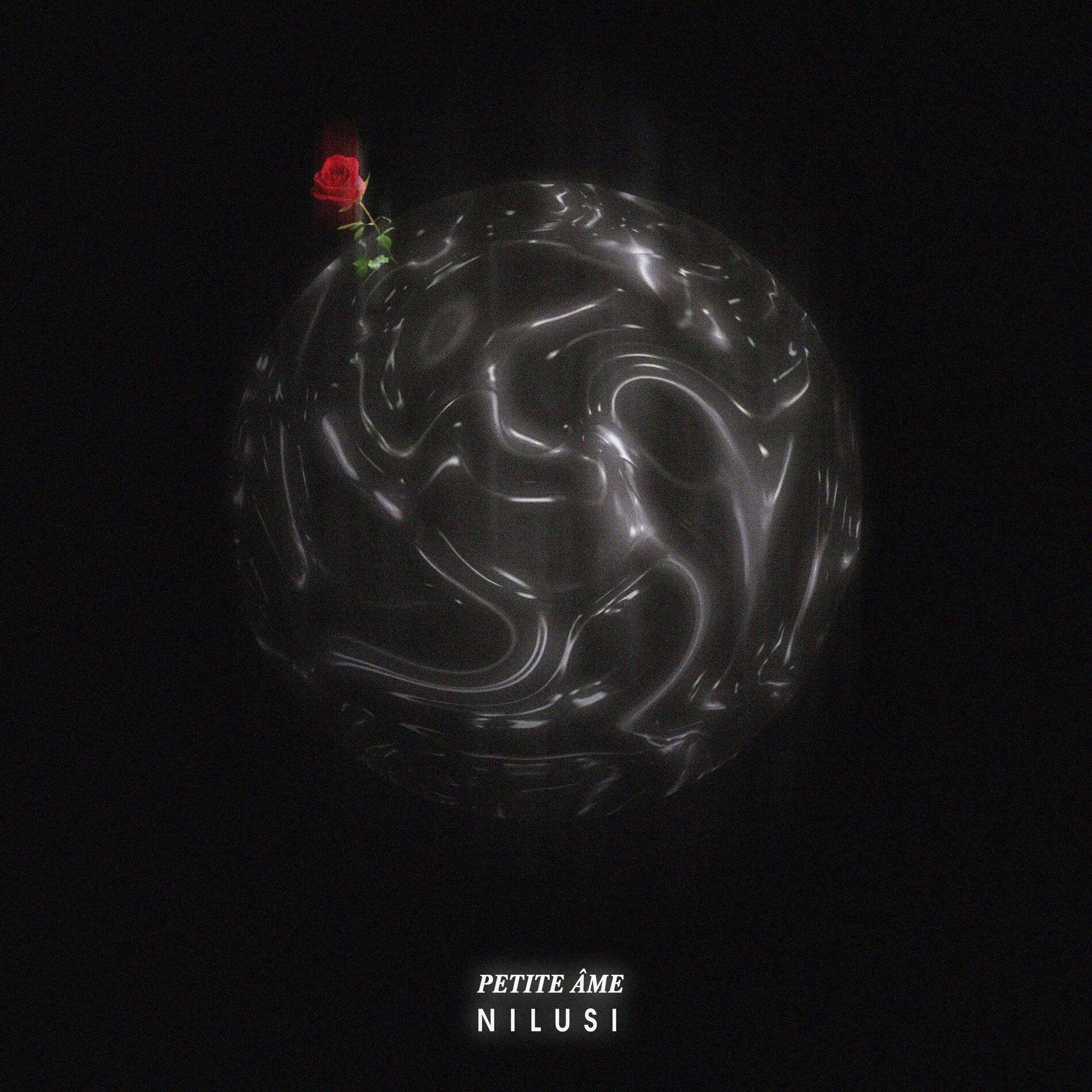 Album cover of Petite âme