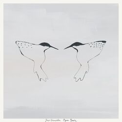 Cover of Open Book