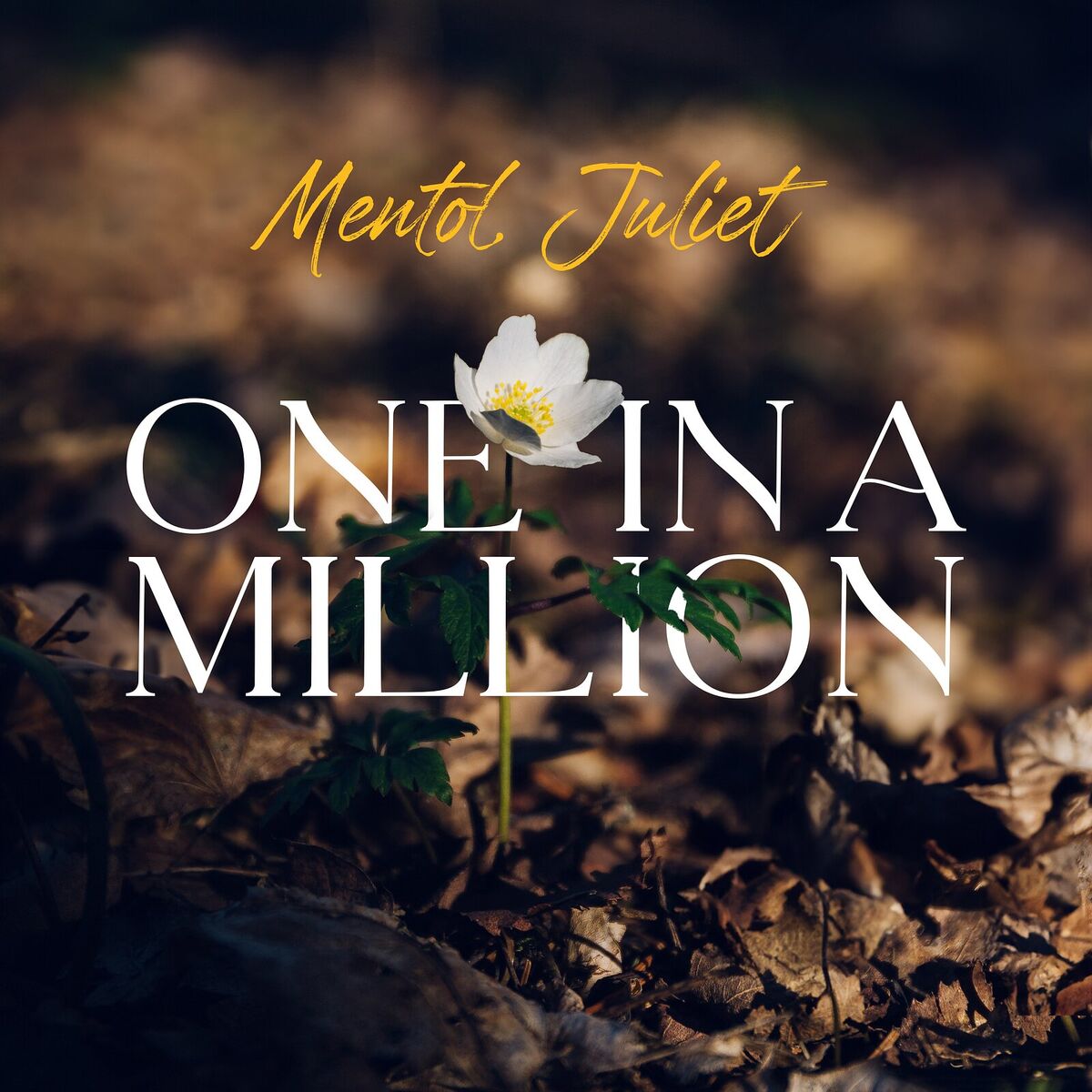 Album cover of One in a Million