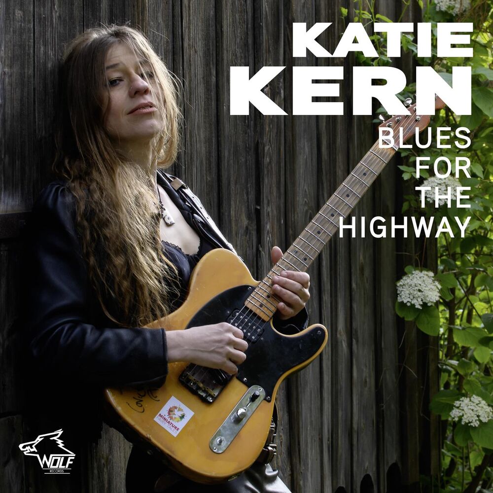 Picture of Blues for the Highway
