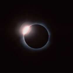 Cover of Hail Bop - The Remix EP