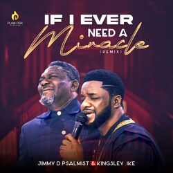Cover of If I Ever Need A Miracle (Remix)