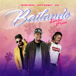 Cover of Bailando Remix