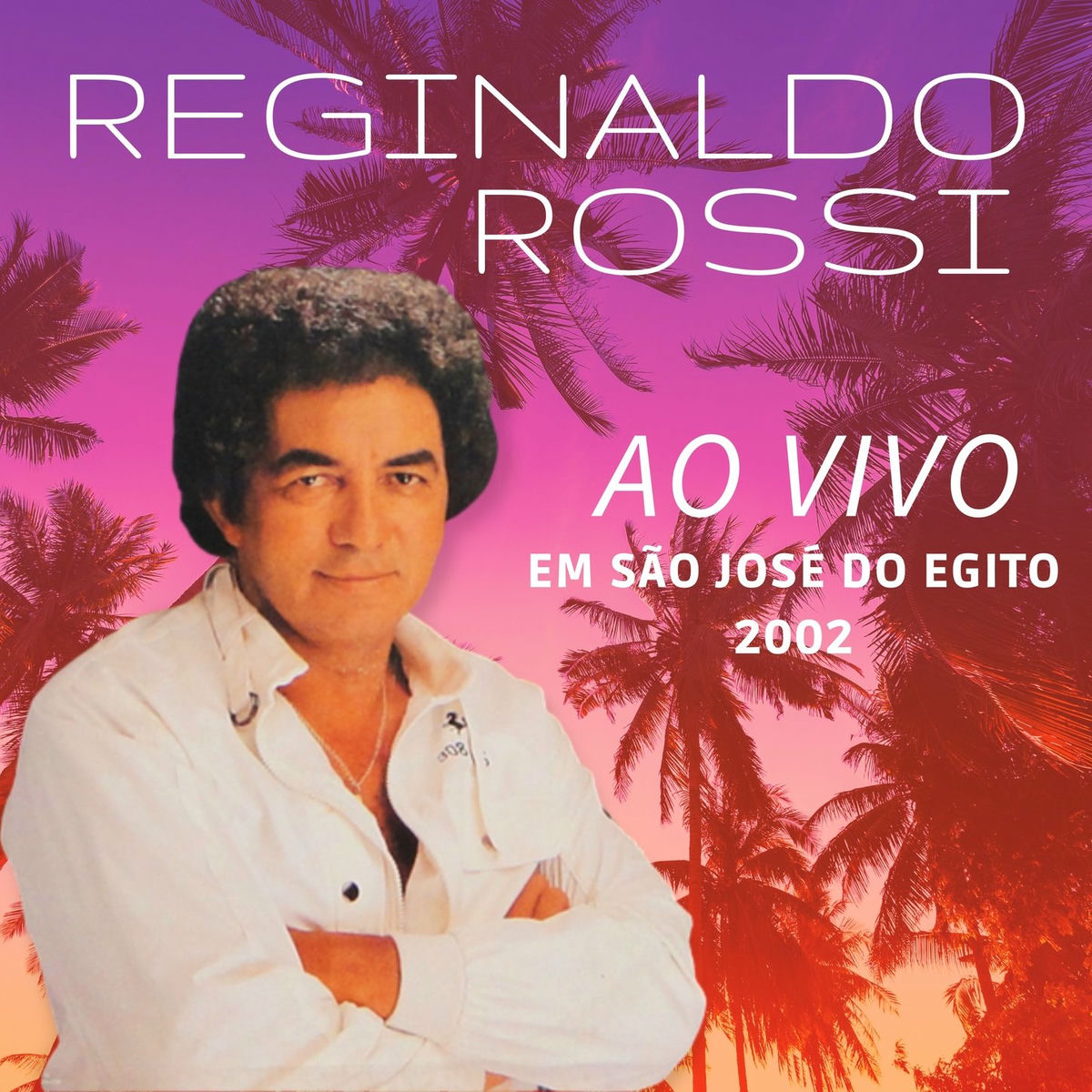 Album cover of AO VIVO EM SÃO JOSÉ DO EGITO 2002