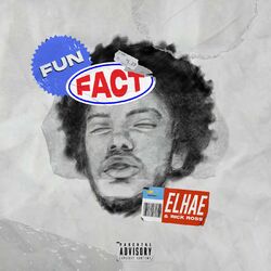 Cover of Fun Fact
