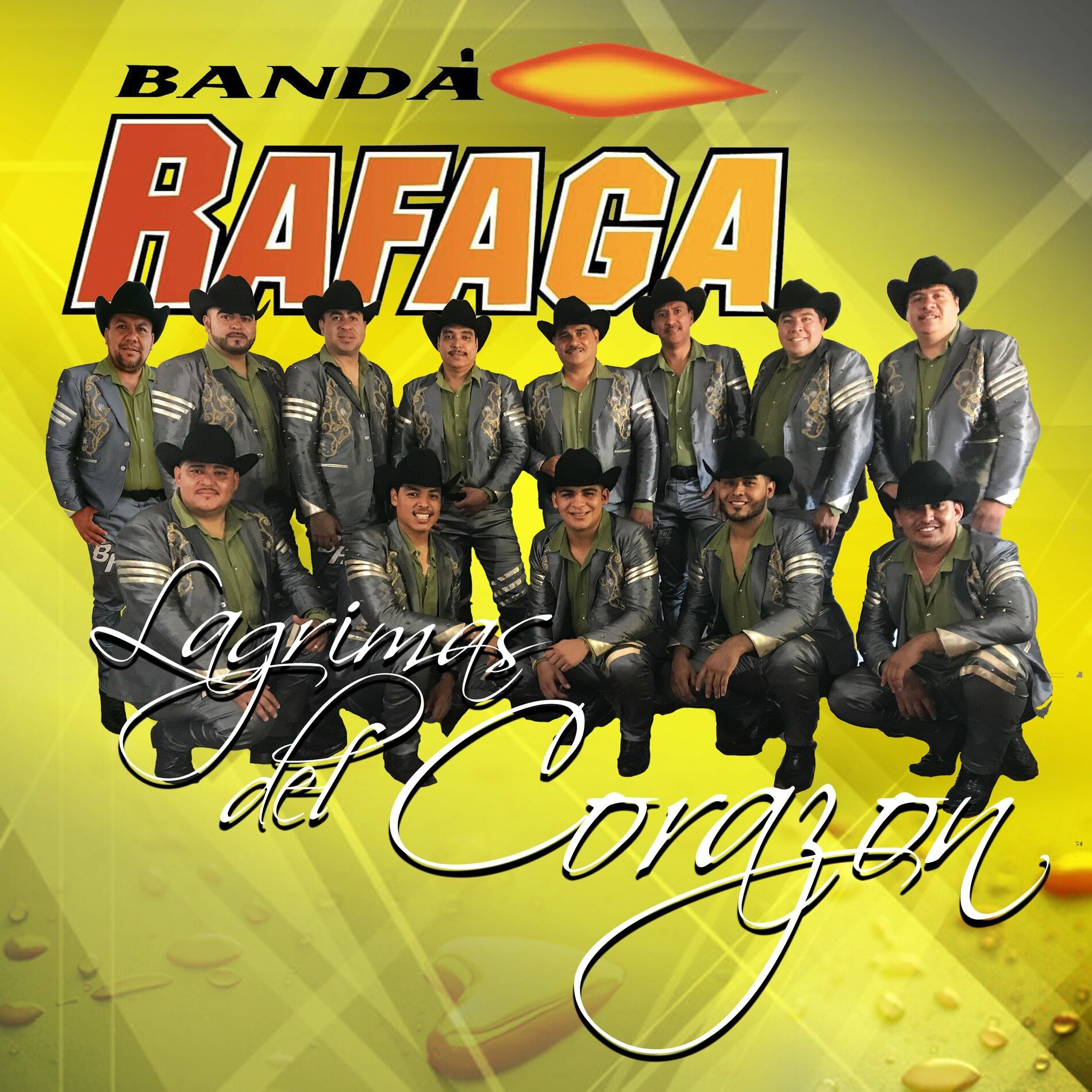 Album cover of Lagrimas Del Corazon