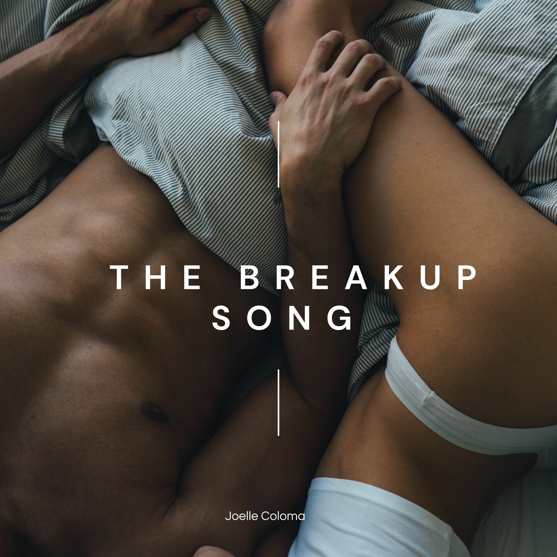 Album cover of The Breakup Song