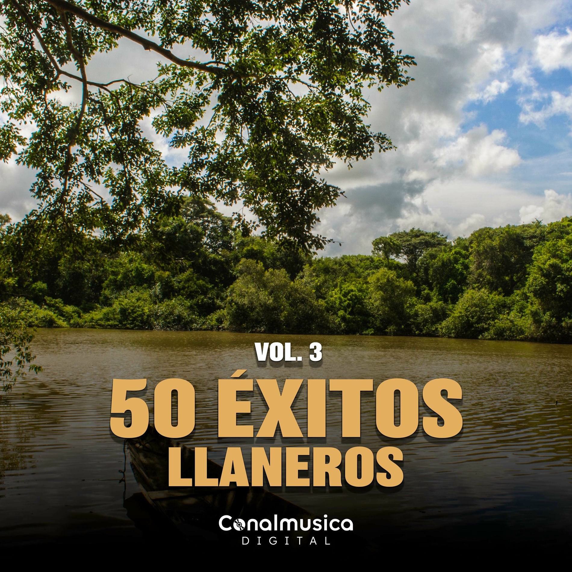 Album cover of 50 Éxitos Llaneros (Vol. 3)
