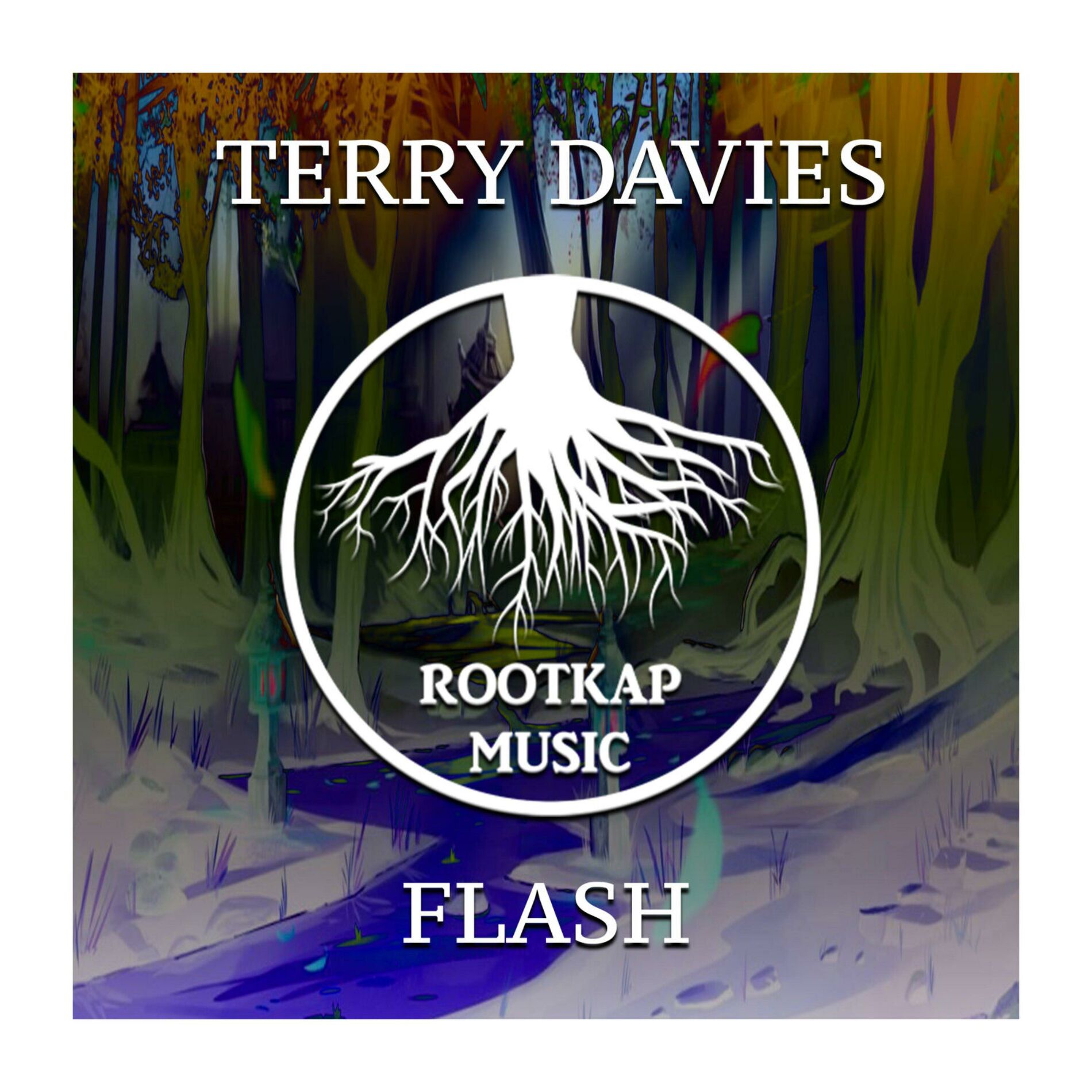 Album cover of Flash