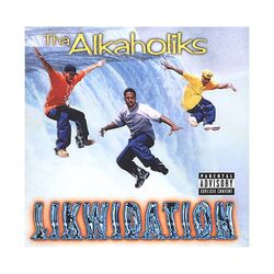 Cover of Likwidation