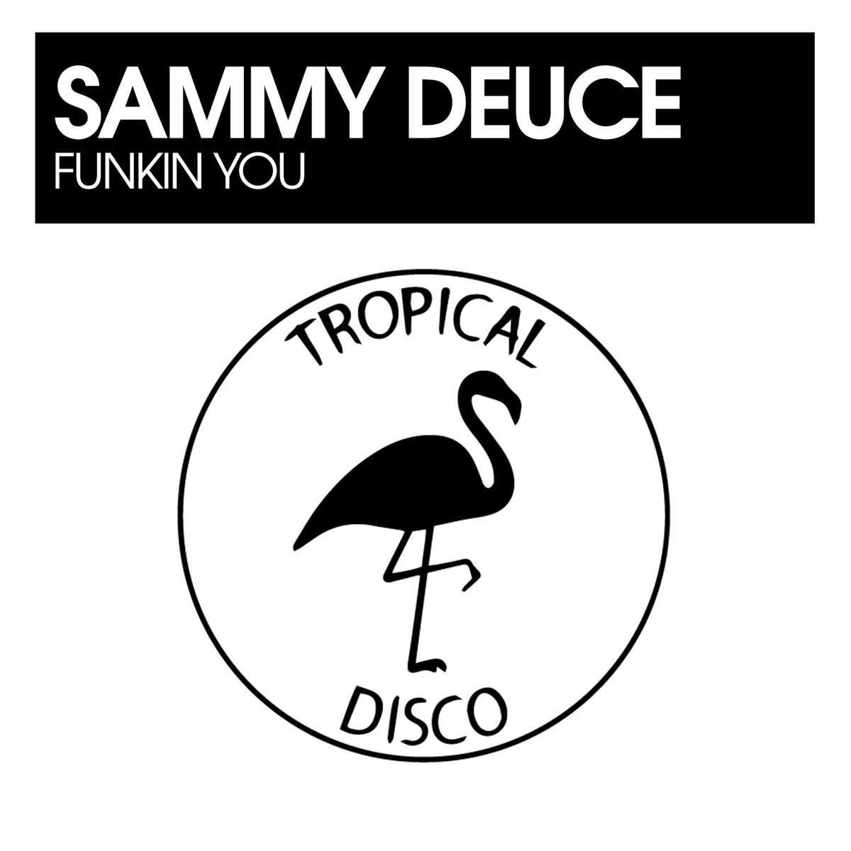 Album cover of Funkin You