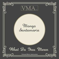 Cover of What Do You Mean