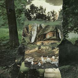 Cover of Laura