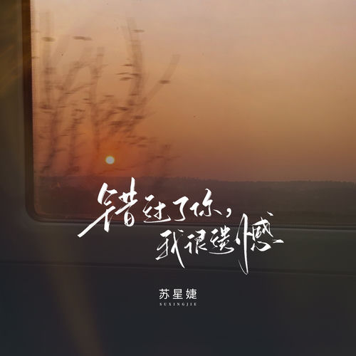 错过了你，我很遗憾