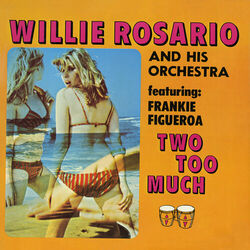 Cover of Two Too Much!