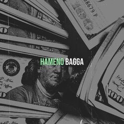 Cover of Hameno