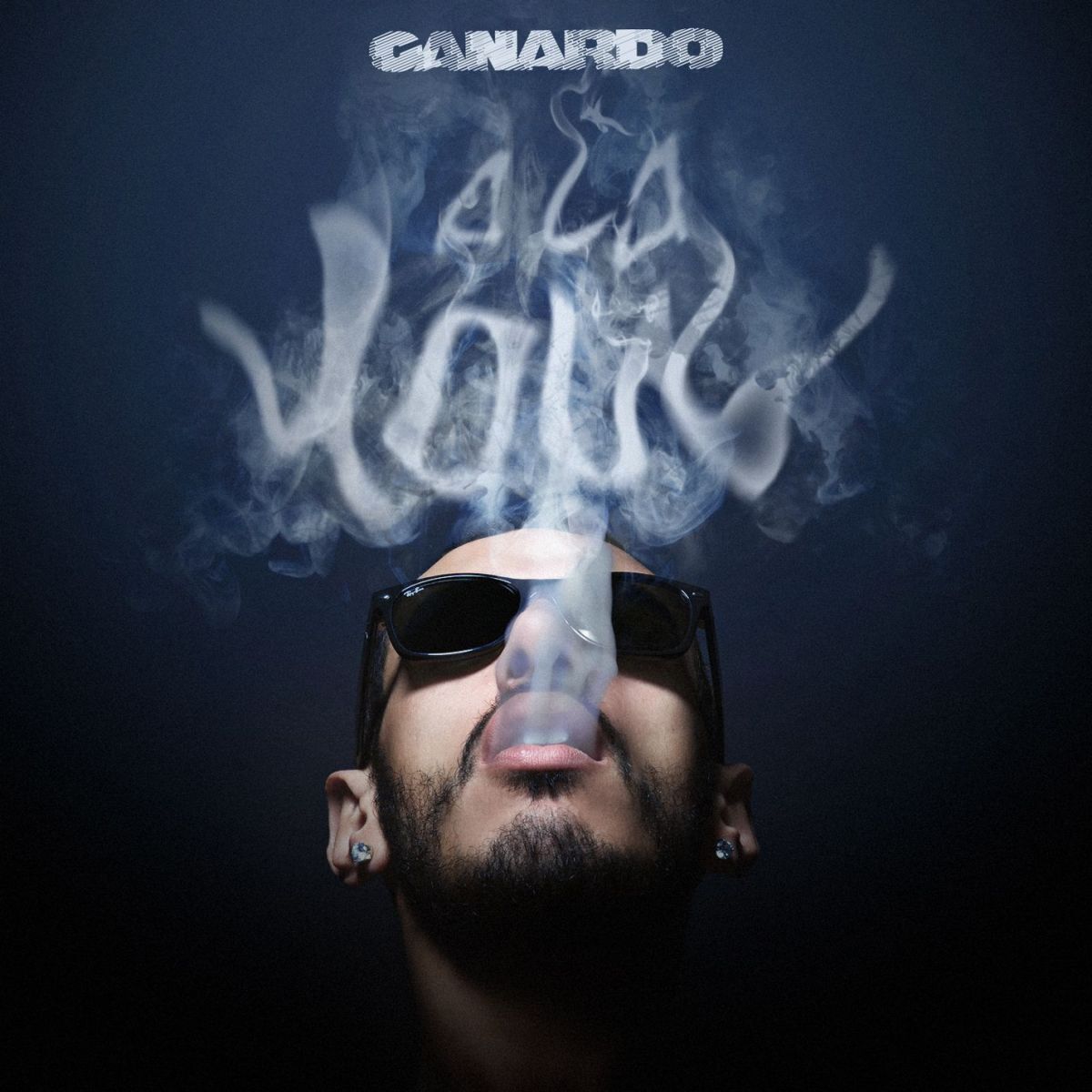Album cover of A ce qu'il paraît