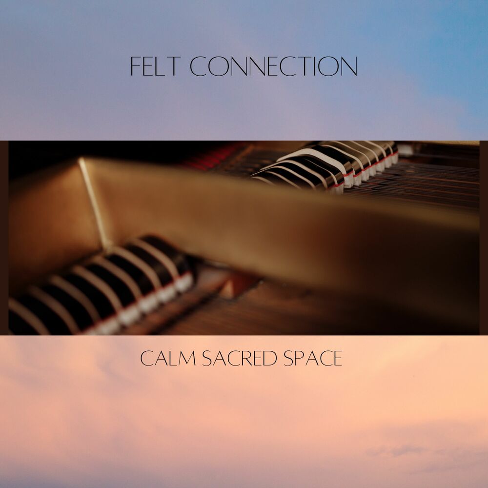 Picture of Felt Connections