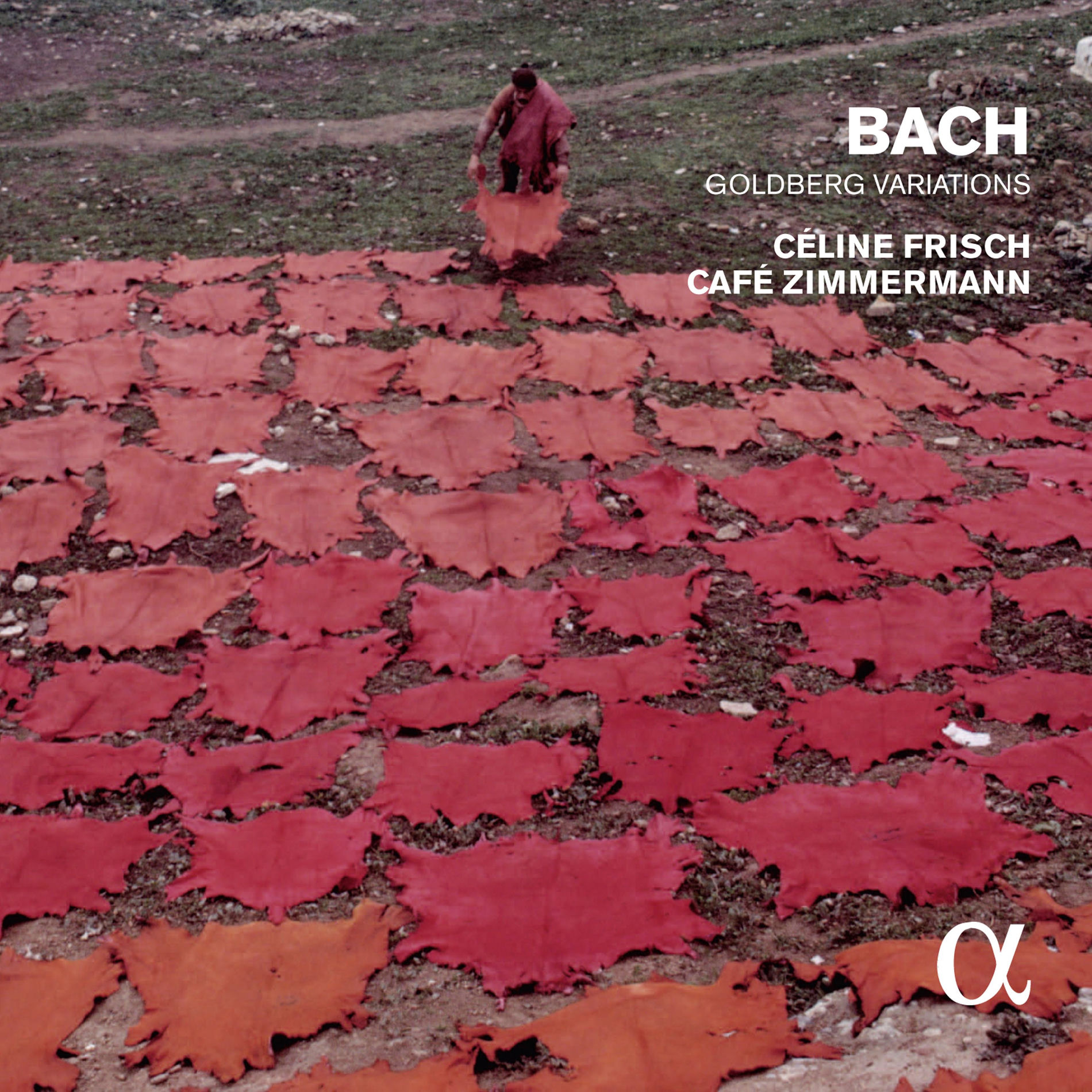 Album cover of 14 Verschiedene Canones, BWV 1087: VIII. Canon simplex à 3, il soggetto in alto
