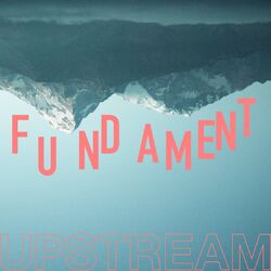 Cover of Fundament