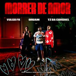 Cover of Morrer De Amor