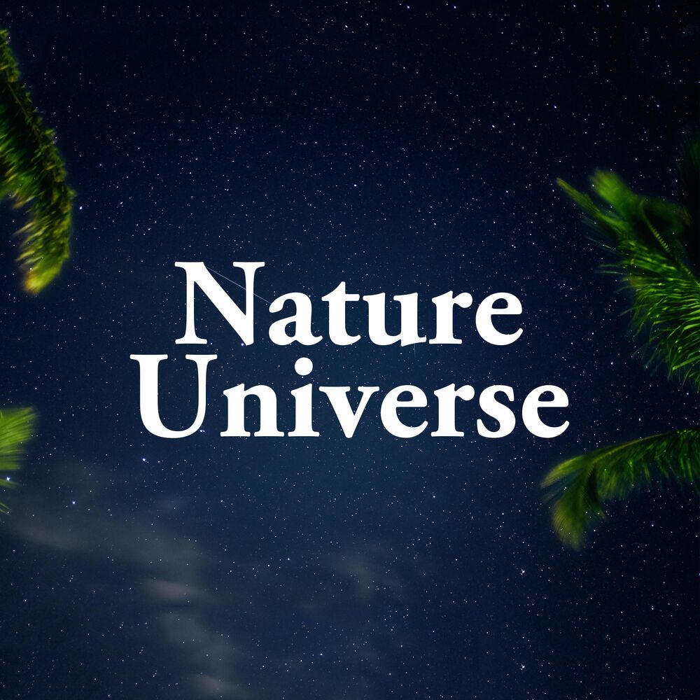 Picture of Nature Universe - Nature Sounds, Relaxing Music