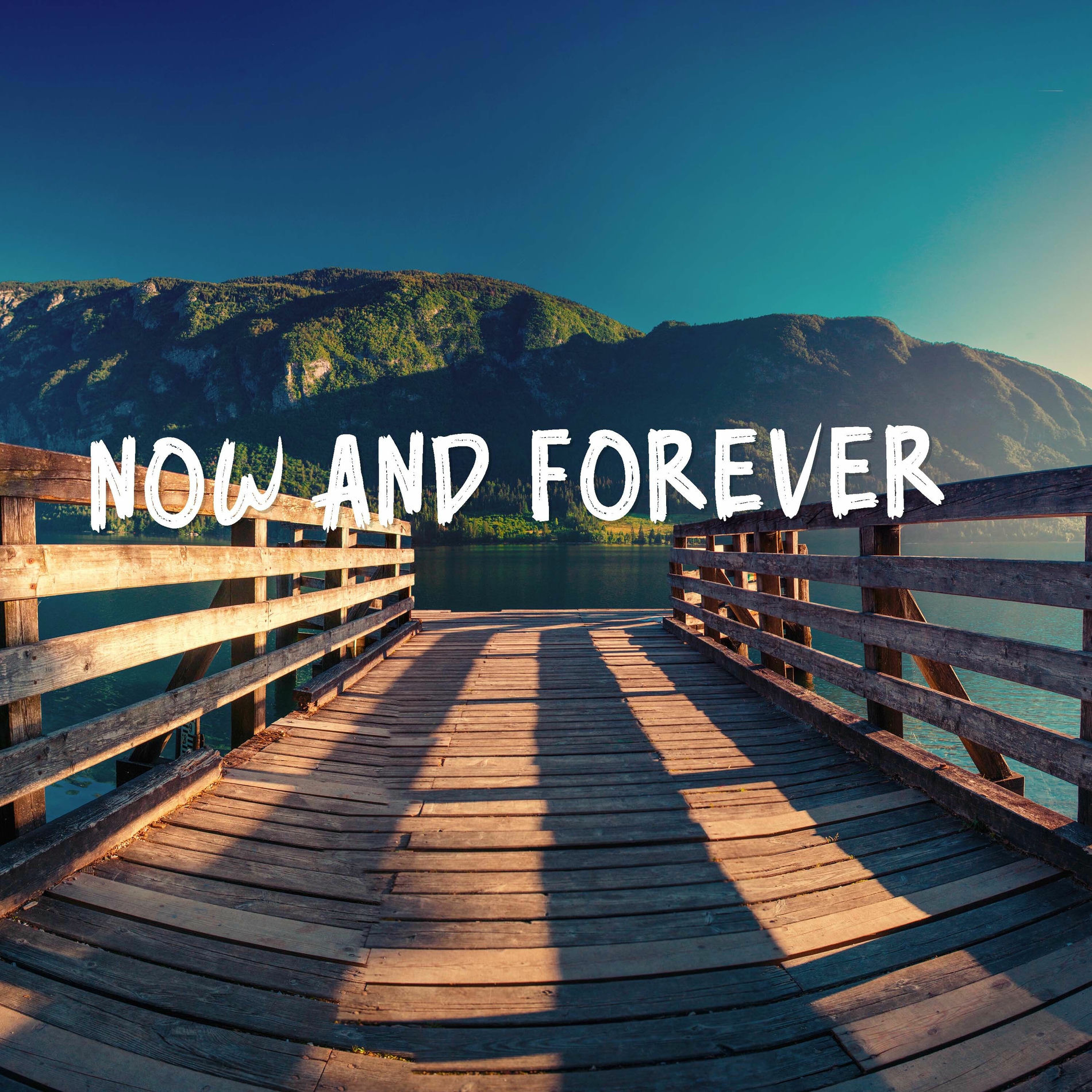 Album cover of Now and Forever