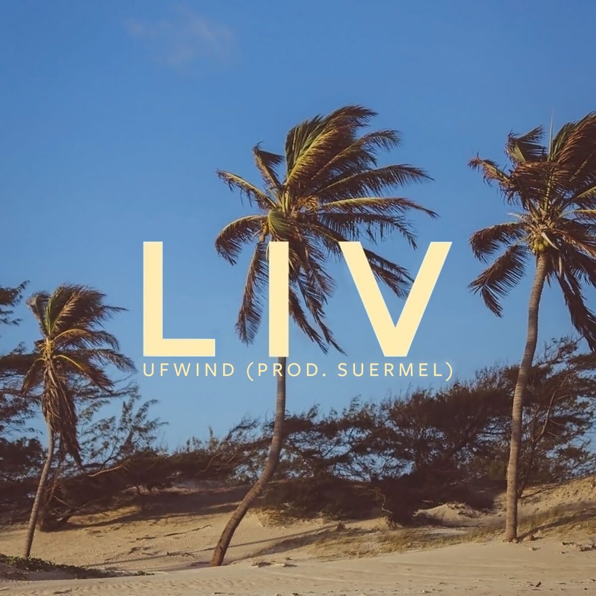 Album cover of Ufwind