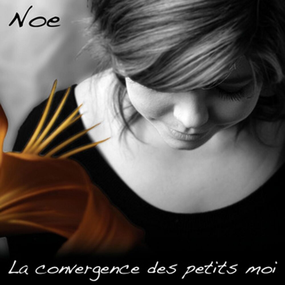 Picture of La Convergence Des Petits Moi