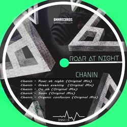 Cover of Roar at Night