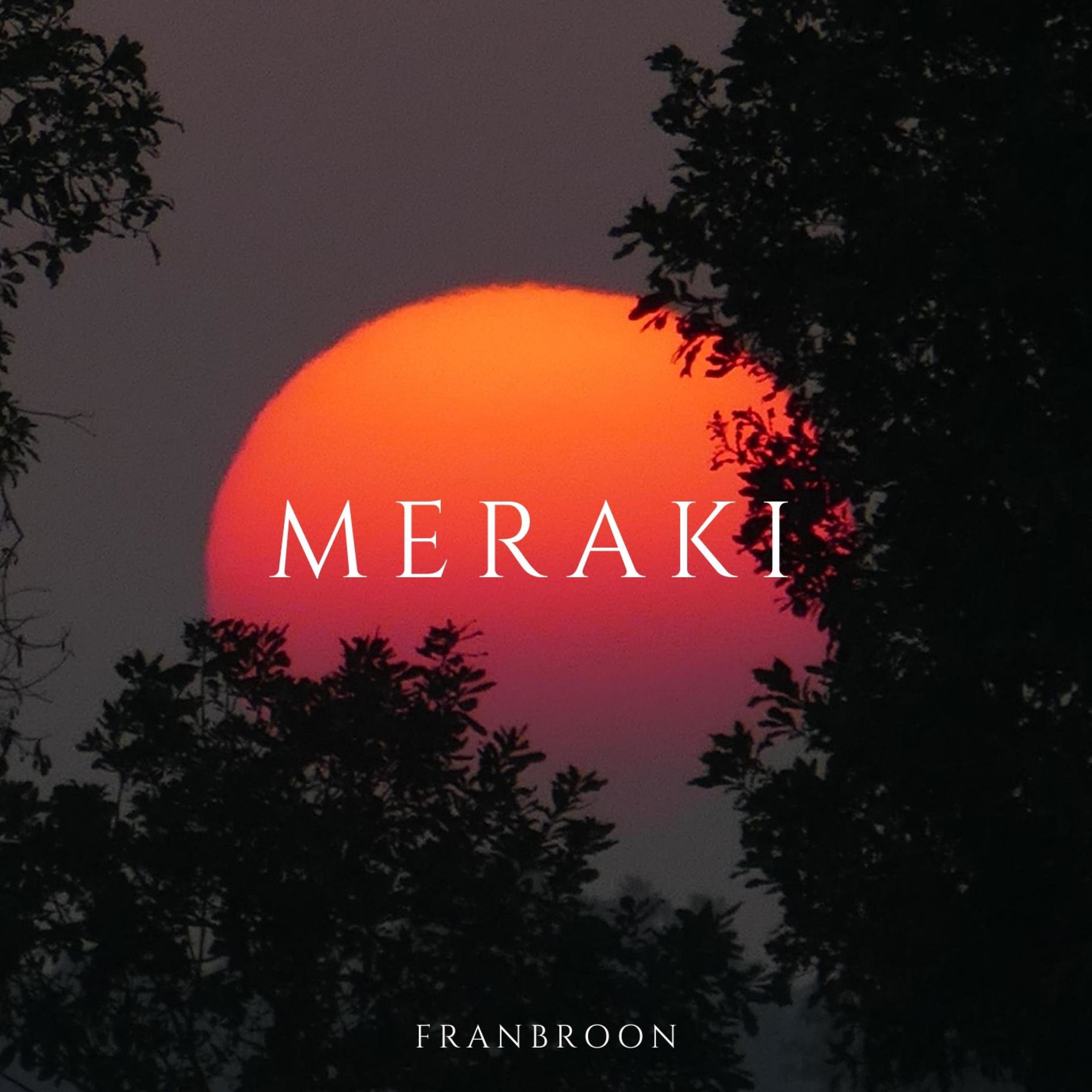 Album cover of Meraki