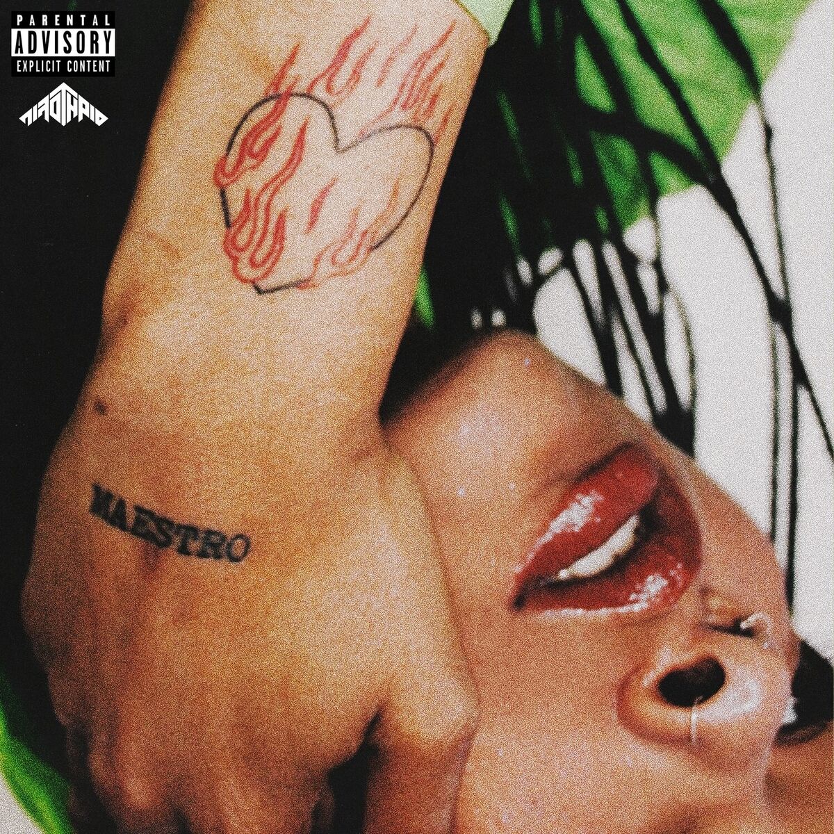 Album cover of MAESTRO