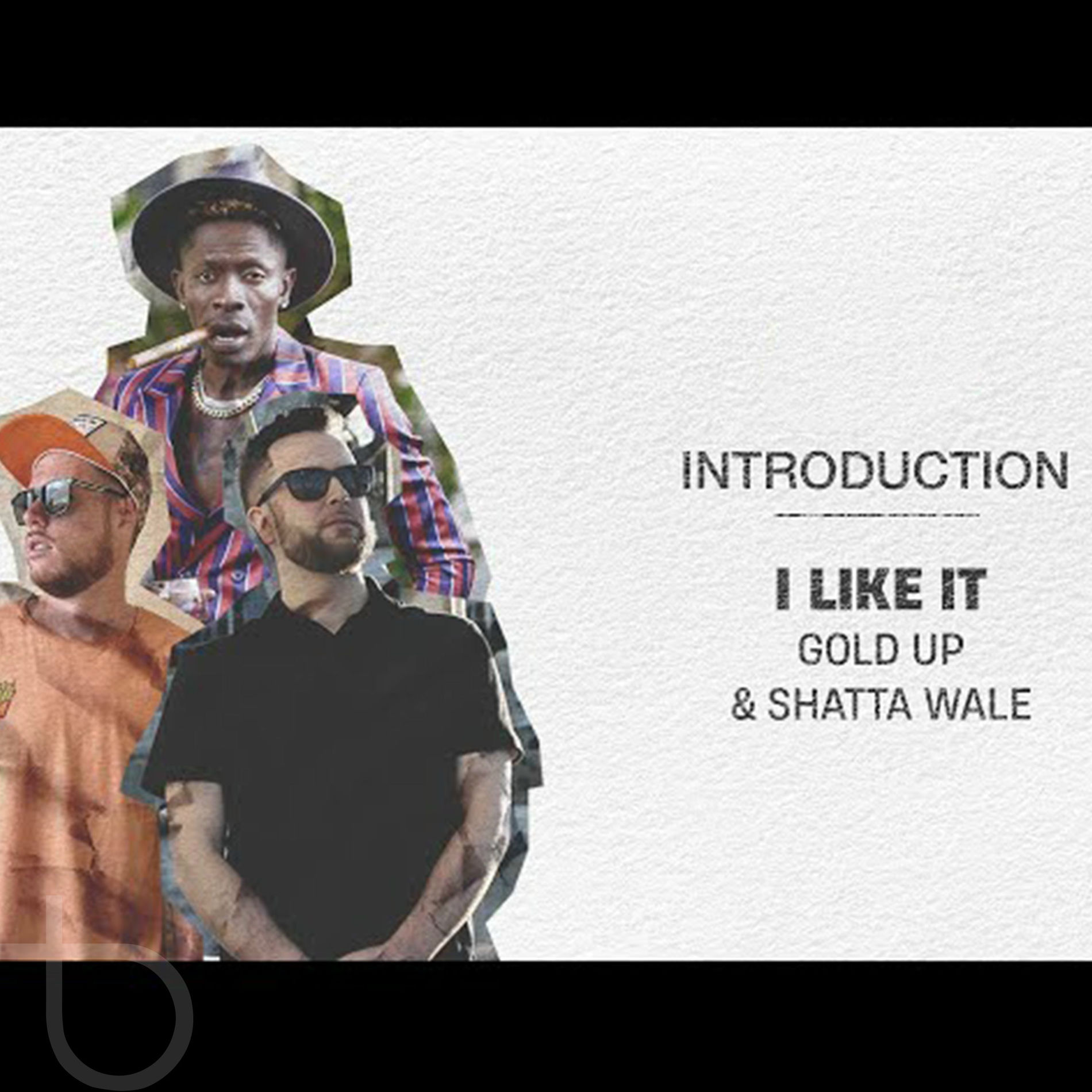 Album cover of I Like It