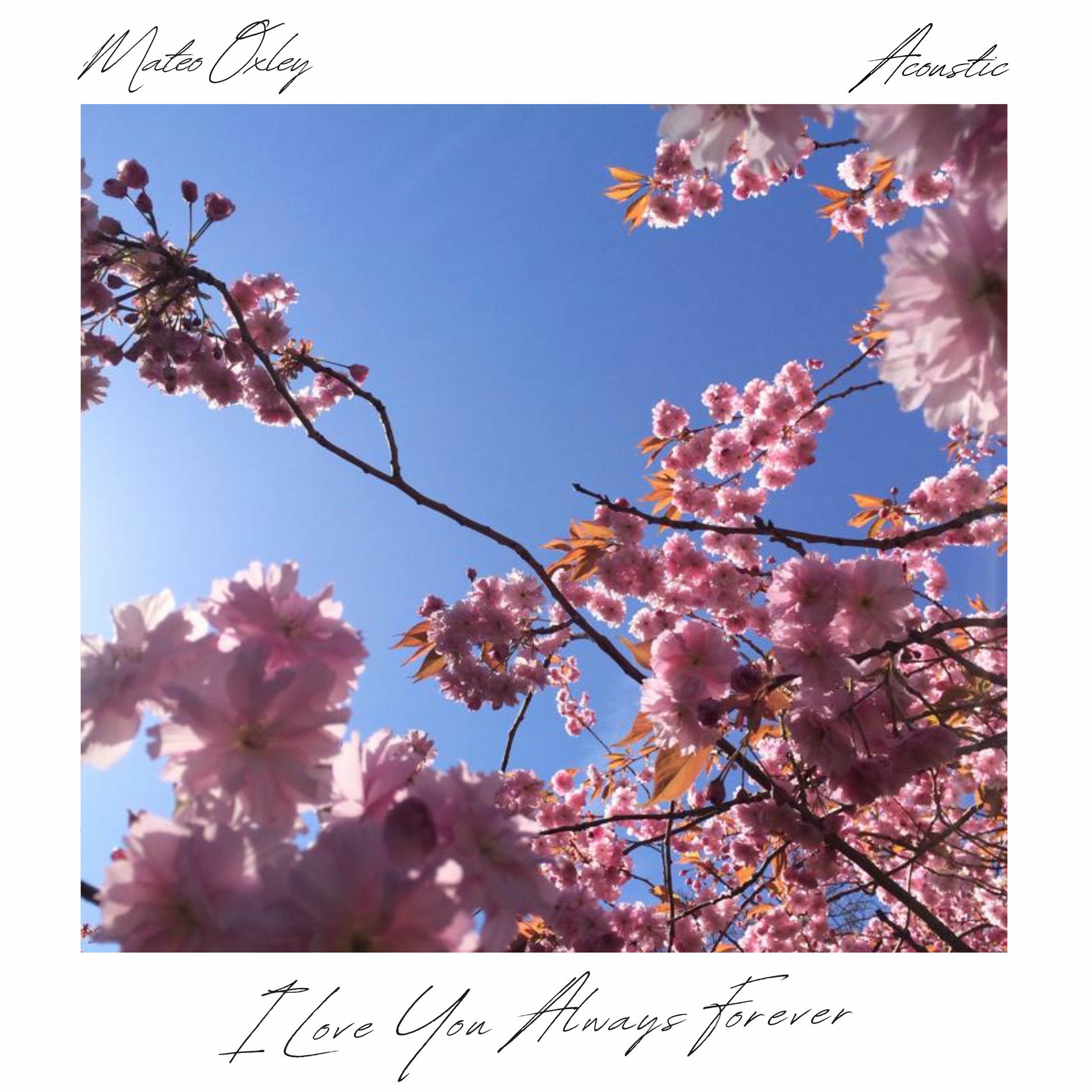 Album cover of I Love You Always Forever (Acoustic)