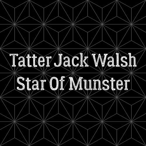 Tatter Jack Walsh/Star of Munster by Andrea Verga - 128 BPM