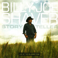 Cover of Storyteller: Live At The Bluebird 1992 (Live)