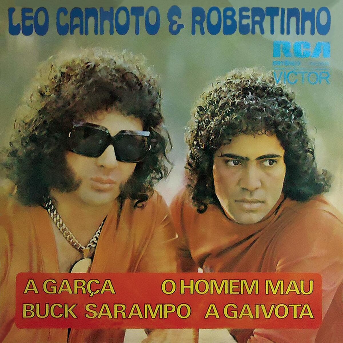 Album cover of Léo Canhoto & Robertinho