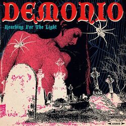 Cover of Reaching for the Light