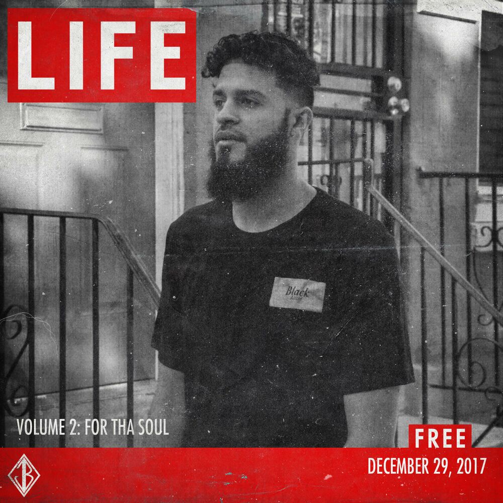 Picture of Life 2: For Tha Soul