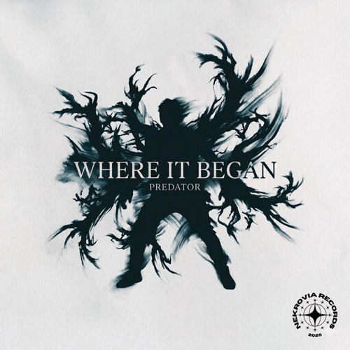 Where It Began