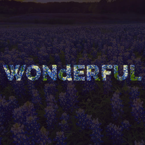 WONdERFUL