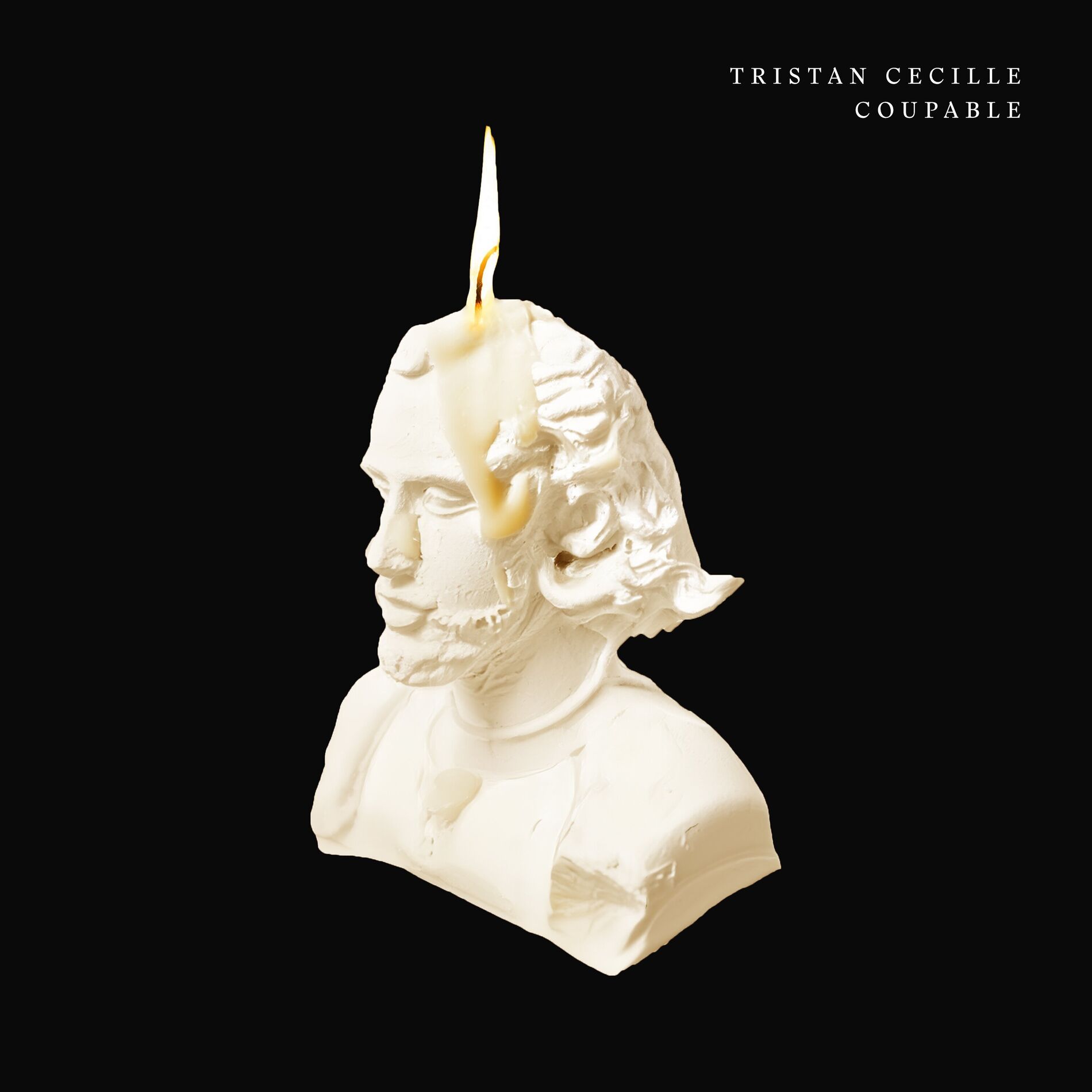 Album cover of coupable
